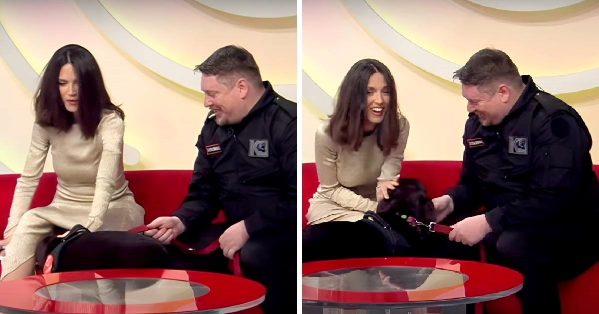 Potražni pas njuškao pod haljinom voditeljice iz BiH, njezin odgovor je hit