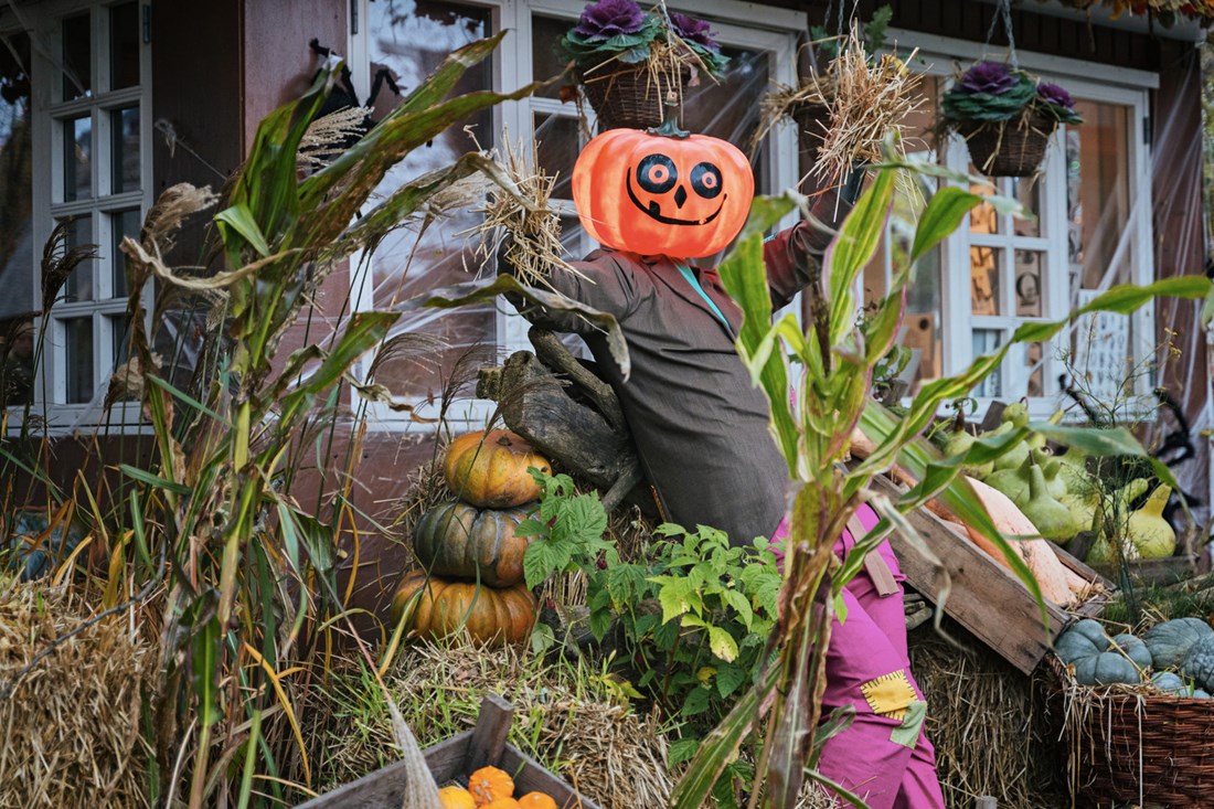 Zašto je Halloween popularan u Danskoj? Stanovnici će potrošiti oko milijun bundeva