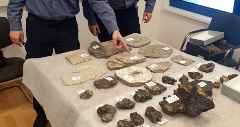 Policija na granici uhvatila tipa s neprocjenjivo vrijednim fosilima, pogledajte