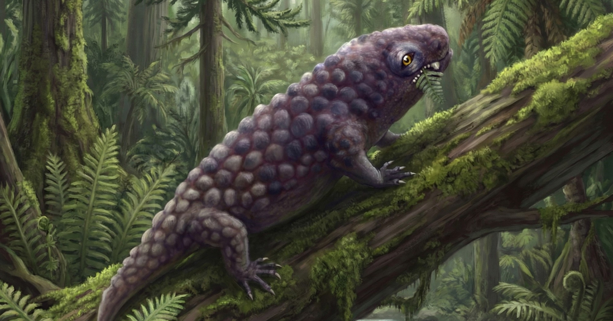 Fosil star 307 milijuna godina otkriva rane kopnene biljojede