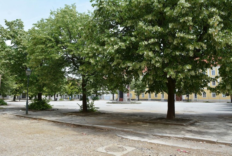 U Karlovcu ruše lipe da trg opet izgleda kao u 18. st. Građani najavili prosvjed