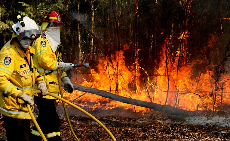 Veliki šumski požari haraju Australijom, strahuje se da su uginule stotine koala