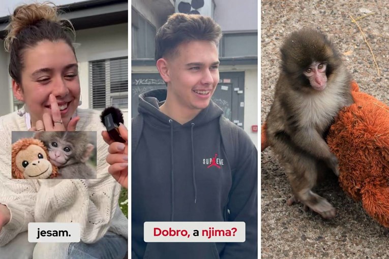 Podrška Punchu iz Zagreba: "Drži se! Nasilni majmuni - bavite se pametnijim poslom"