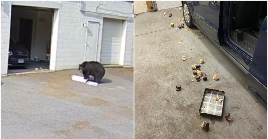 Medvjed ušao u pekaru, preplašio zaposlenike i pojeo 60 kolača