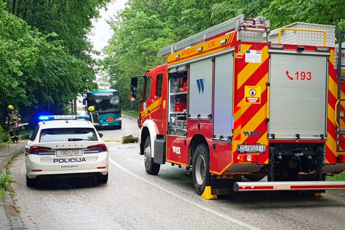 FOTO Stablo palo na školski autobus u Zagrebu