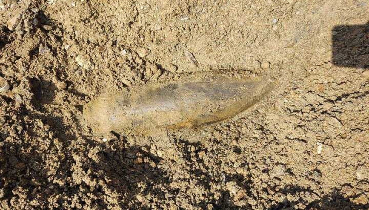 FOTO I VIDEO Kod Slavonskog Broda nađeno topovsko zrno iz Drugog svjetskog rata
