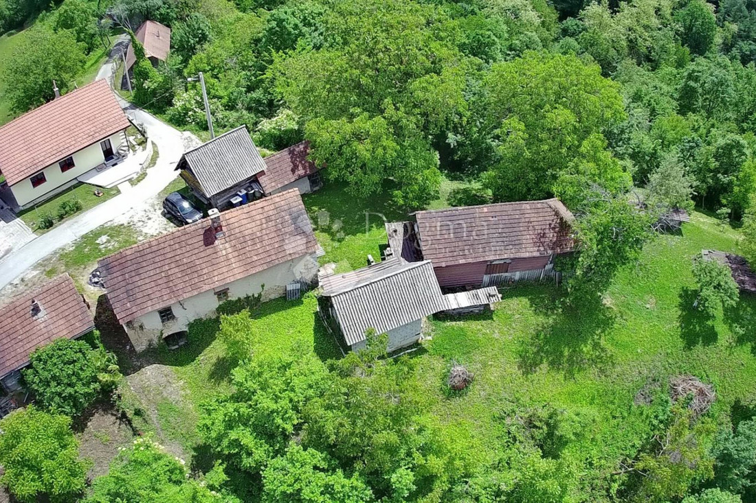 Kamena kuća, šuma i više od 8000 m² zemljišta za 27.000 €