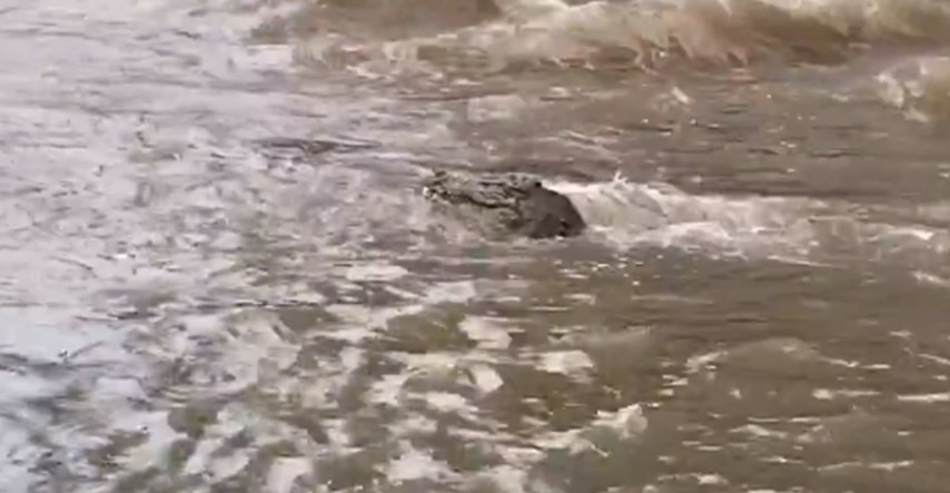 VIDEO Poplave u Australiji donijele krokodila u centar grada