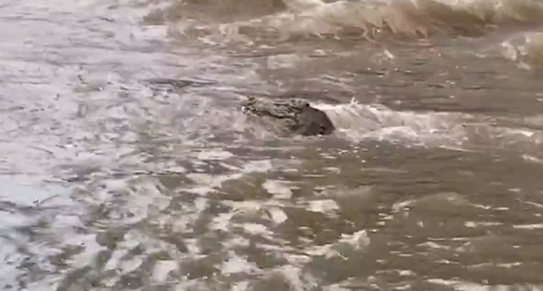 VIDEO Poplave u Australiji, evakuirat će se grad. Krokodil pliva ulicama