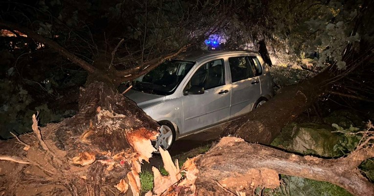 Jako nevrijeme sinoć poharalo Rovinj. Poplavile ulice, stabla se rušila na aute