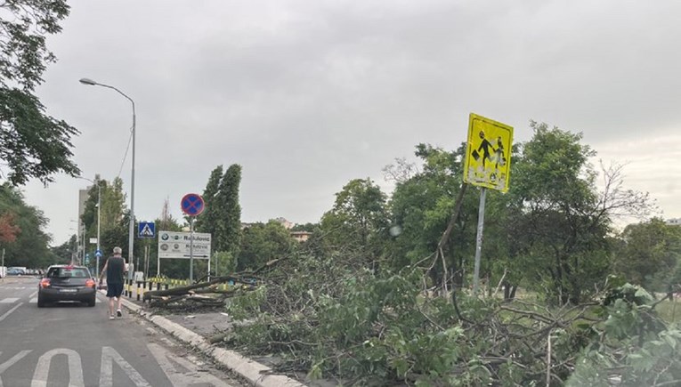 VIDEO Kaos s olujom u Srbiji. Drvo palo na curicu, u Beogradu se srušio masivni kran