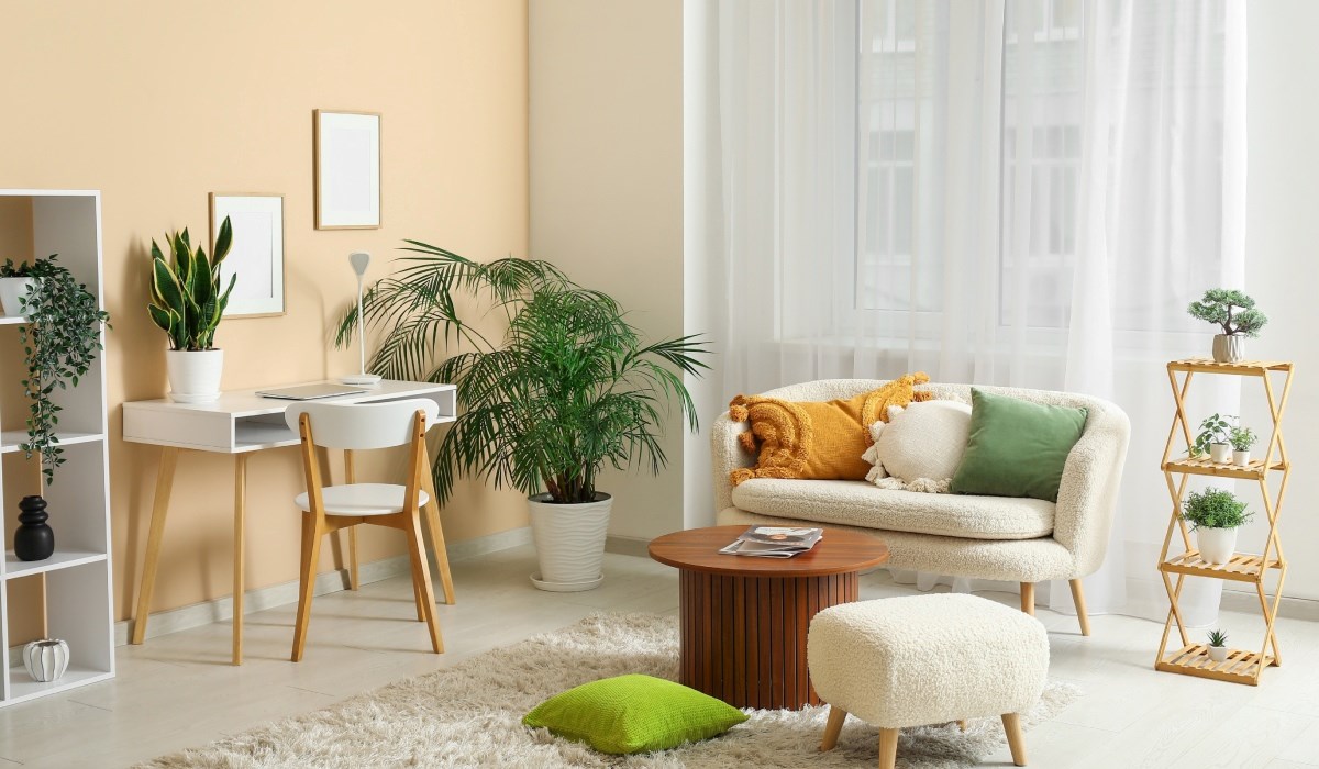 Osvježite dom bez troškova: 5 savjeta dizajnera interijera