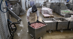 Usred nestašice hrane na Kubi ukradene 133 tone piletine