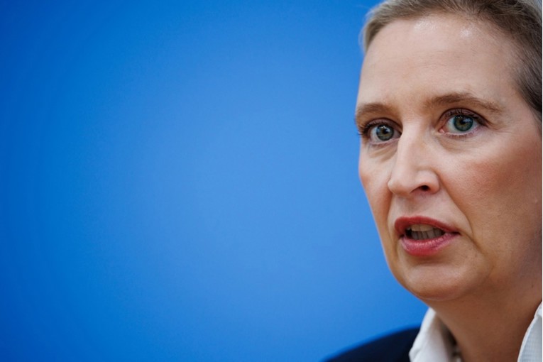 Hakiran AfD. Objavljeni e-mailovi i dokumenti stranke