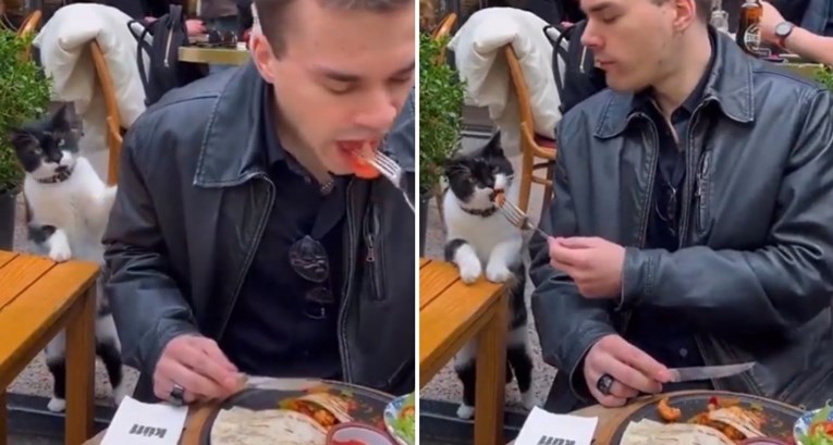 Video mace iz Istanbula koja žica hranu je teški hit