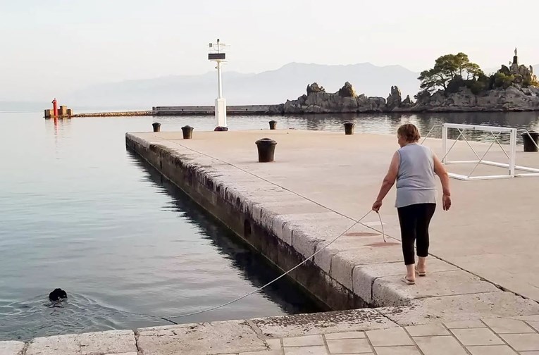 Fotka iz Dalmacije postala hit: Pas plivao u moru, a vlasnica hodala uz njega po rivi