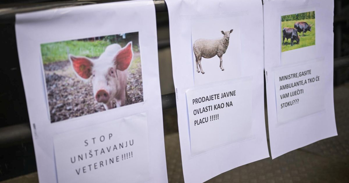 Udruga: Čovjek koji drži 30.000 svinja uzimat će uzorke za bolesti. Sukob interesa