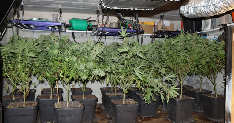 FOTO I VIDEO U podrumu kuće u Sesvetama pronađen laboratorij za uzgoj marihuane