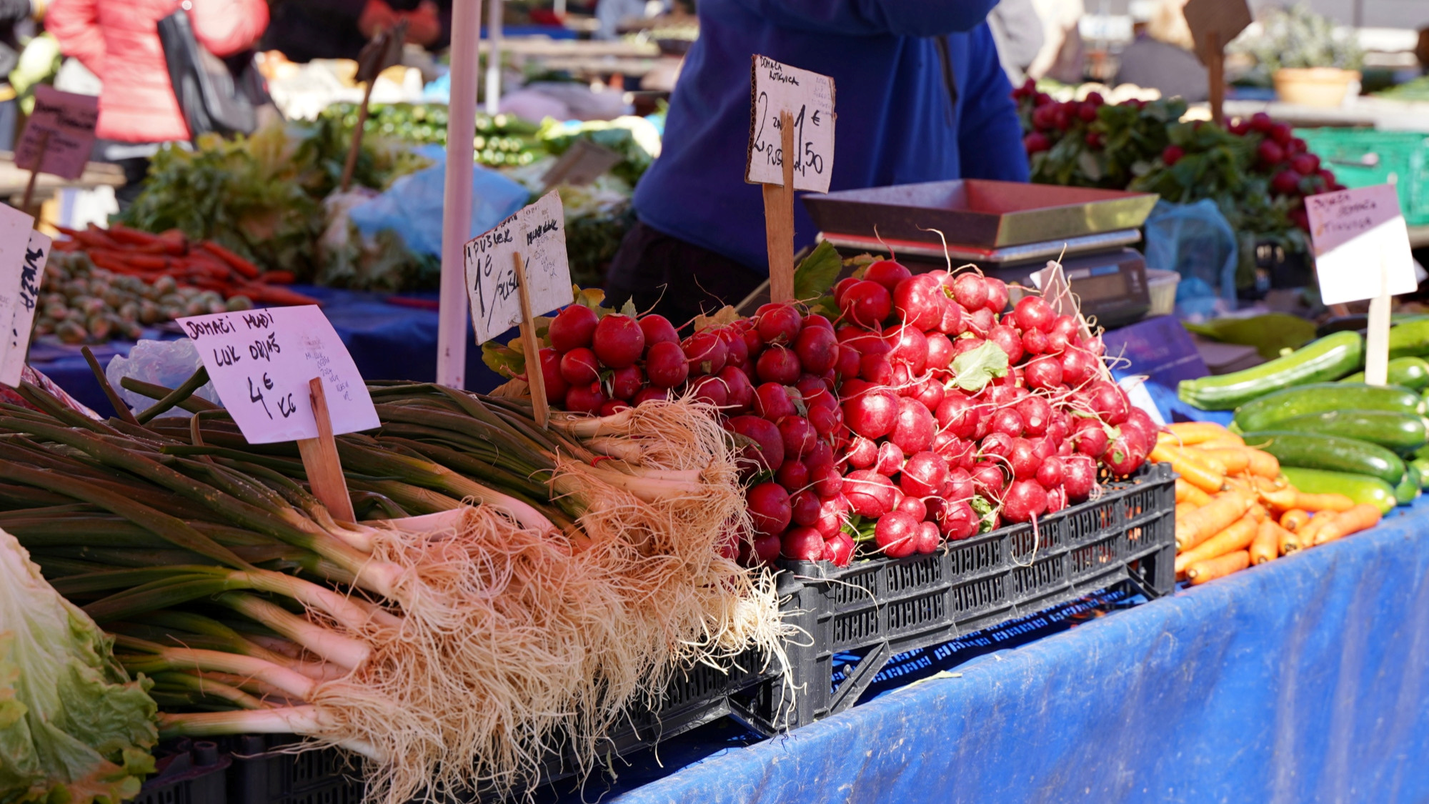 Pet namirnica koje su sada najukusnije na tržnici - ne propustite ih