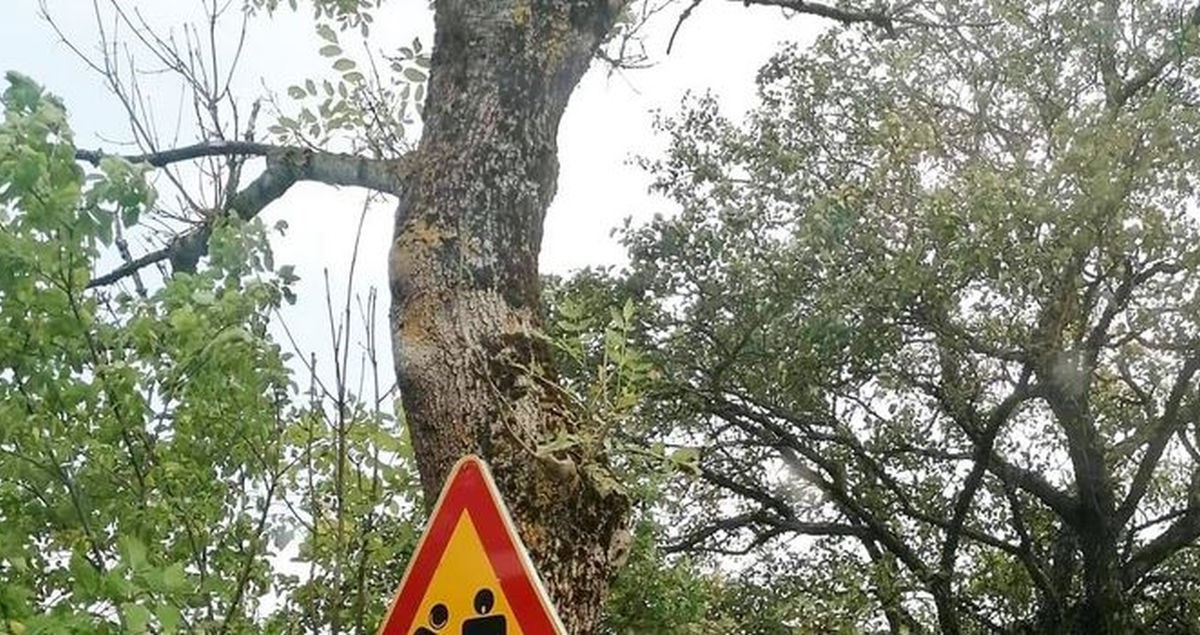 Prometni znak uslikan u Dalmaciji predmet je 18+ šala, odmah ćete vidjeti zašto