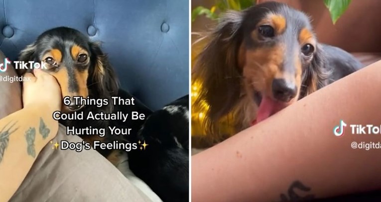 Ako radite ovih šest stvari, možete nesvjesno povrijediti osjećaje svog psa