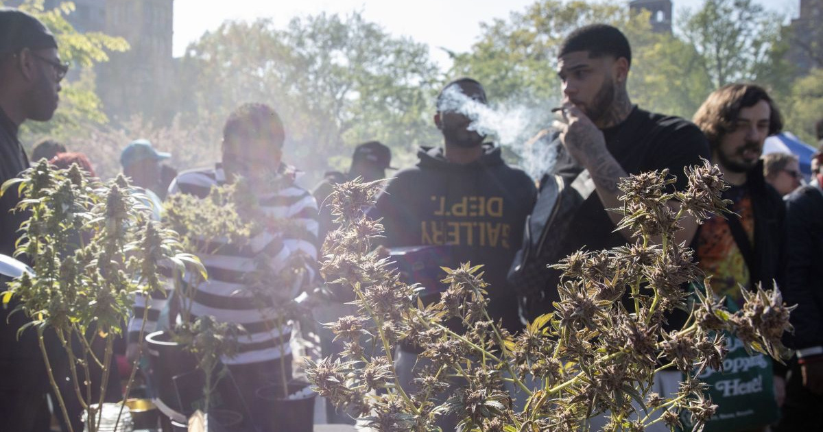 SAD bi uskoro trebao reklasificirati marihuanu