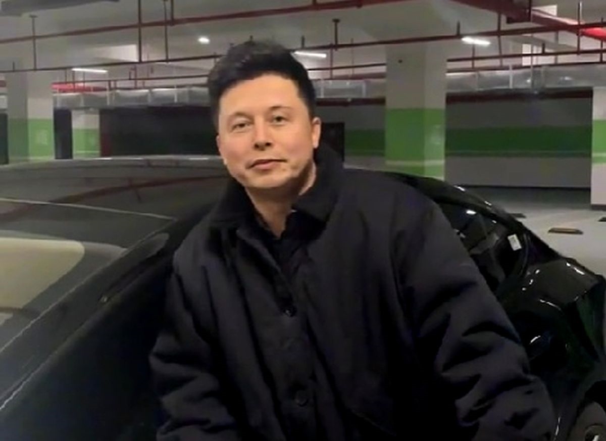 Ovom tipu popularnost je naglo skočila, prilično je očito u čemu je stvar