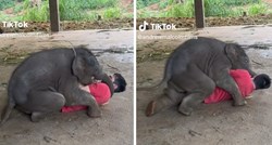VIDEO Muškarac i beba slonica uživali u zajedničkoj igri, prizor je presladak