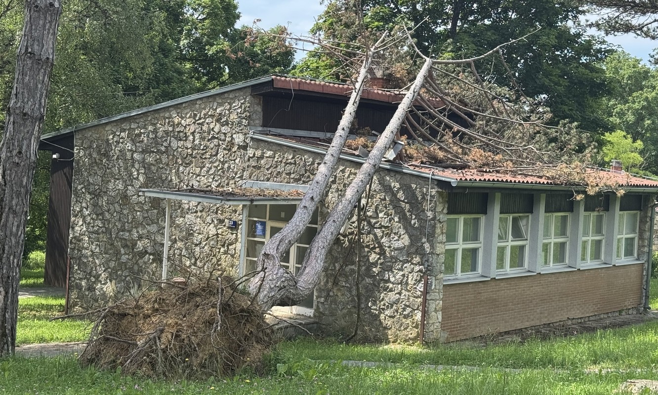 FOTO Vjetar srušio stablo na objekt u Zagrebu. Mjesecima ga nitko nije maknuo