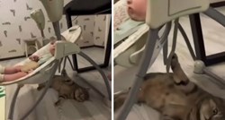 Video mace koja ljulja bebu postao hit na internetu