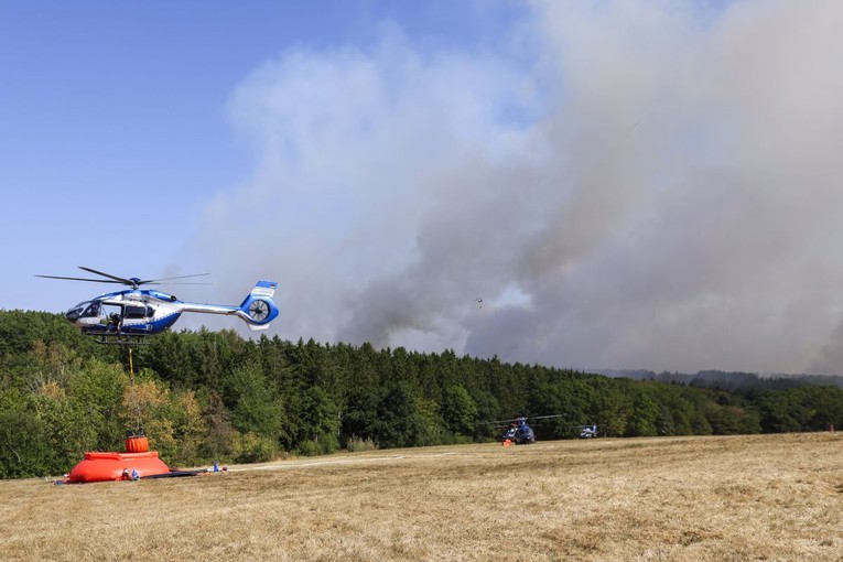 Njemačka razmatra promjenu ustava zbog klimatske krize. Nisu svi za