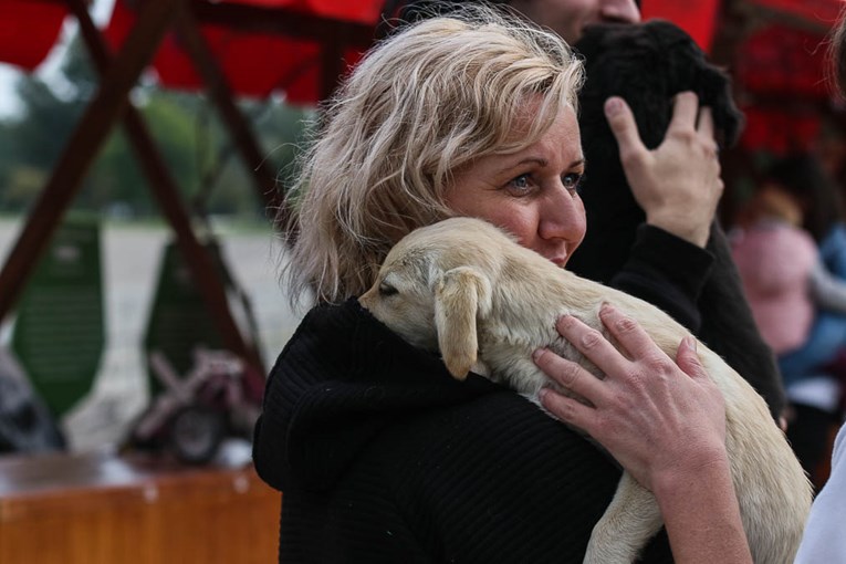 Na obilježavanju Međunarodnog dana zaštite životinja netko ostavio dva štenca