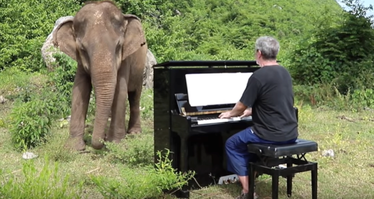 Svirao klavir slijepoj slonici, a ona se njihala i "plesala" u ritmu