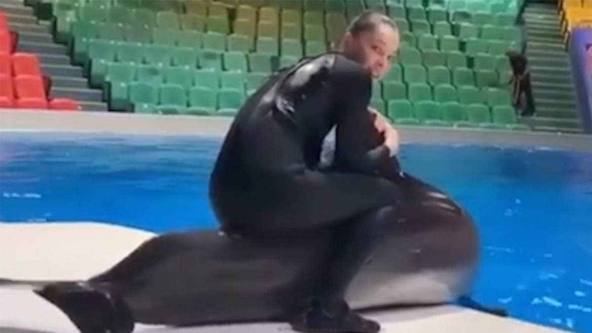 Okrutna trenerica snimljena u Dubaiju kako maltretira dupina