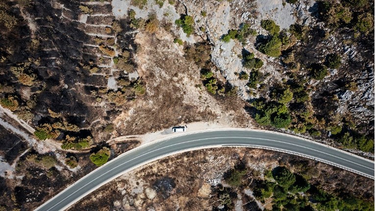 Počela sanacija šume u Parku prirode Biokovo koja je ljetos izgorjela u požaru