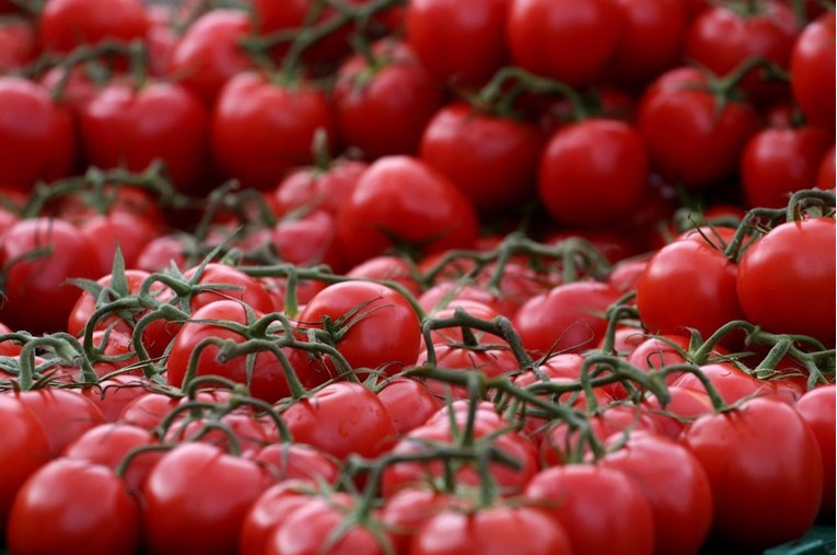 U rajčicama iz Turske otkriven pesticid opasan za jetru i bubrege