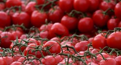 U rajčicama iz Turske otkriven pesticid opasan za jetru i bubrege