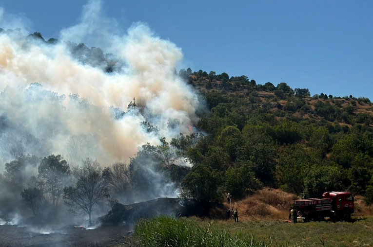 Požari haraju turskim ljetovalištima. Stotine evakuirane, šteta sve veća