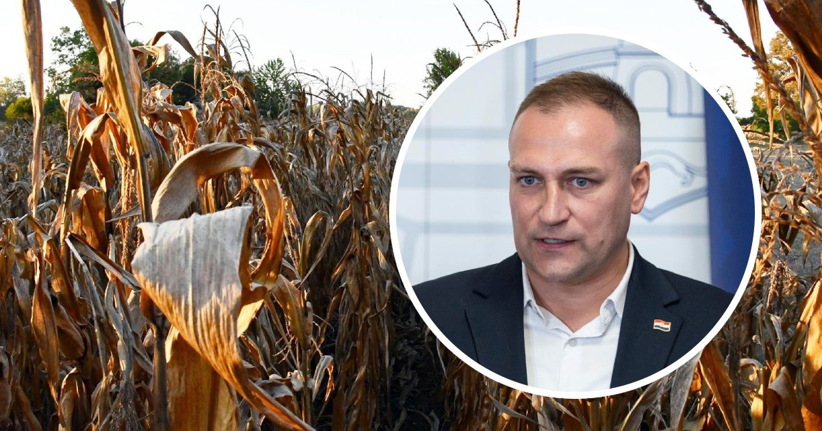 Vlajčić traži pomoć Bruxellesa. "Poljoprivrednici ne mogu svake godine ispočetka"