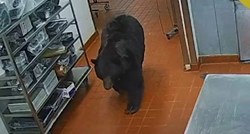 VIDEO Medvjed ušetao u hotel u SAD-u. Ušao u kuhinju, napao zaštitara