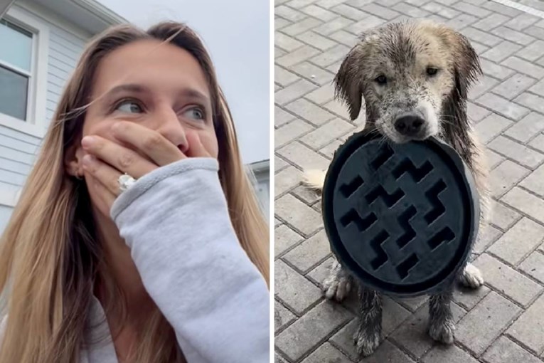 Ostavila psa na minutu u vrtu, nije mogla vjerovati što je napravio