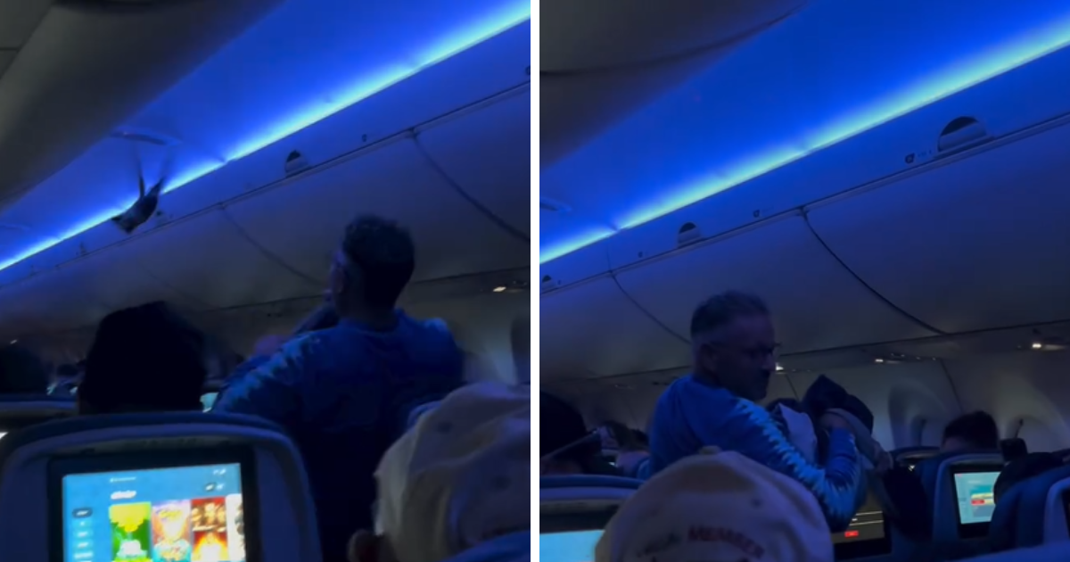 VIDEO Golubovi uletjeli u avion, pilot morao prekinuti polijetanje