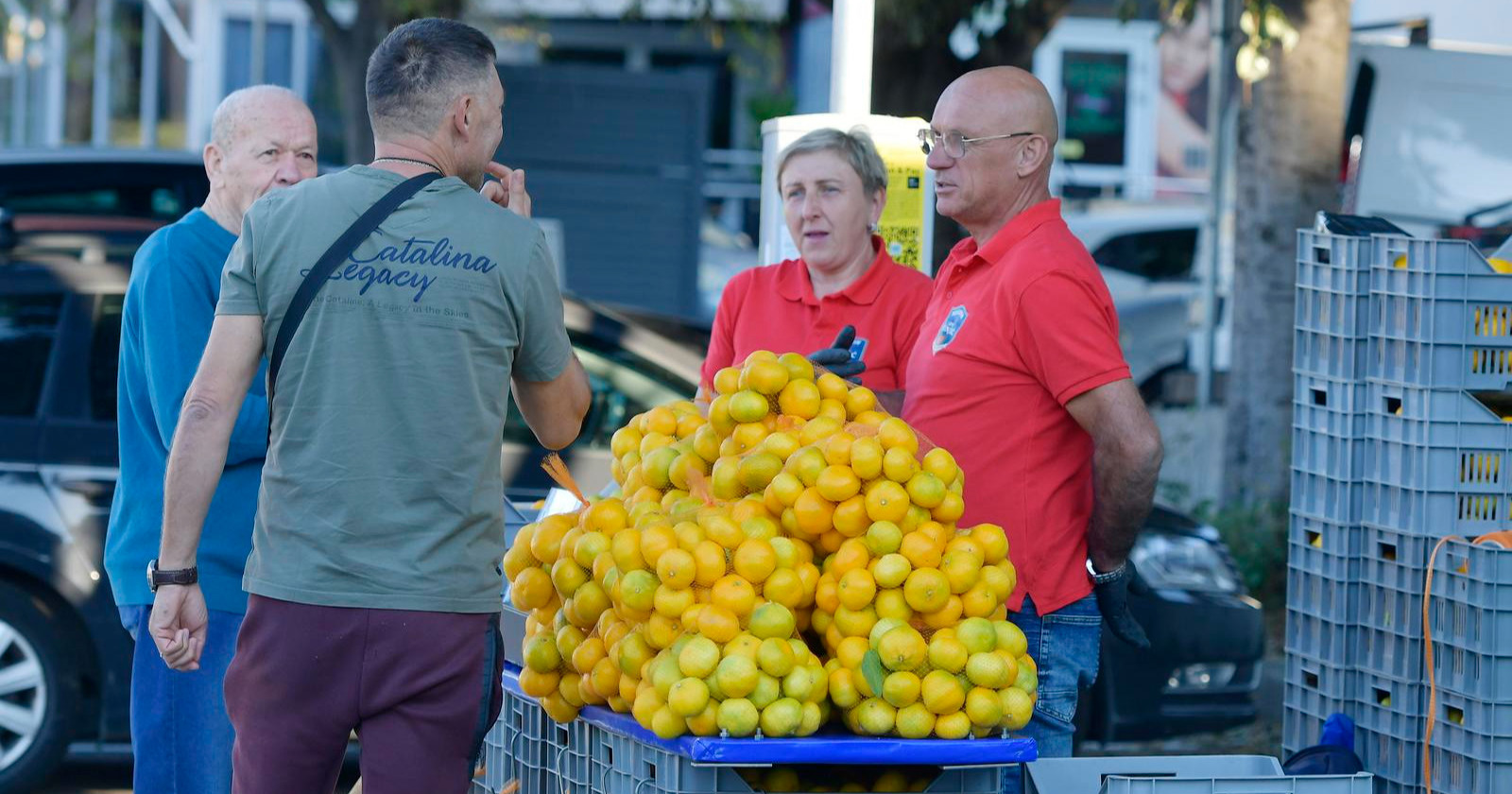 Počela sezona mandarina: Kilogram u Šibeniku 1,50 eura