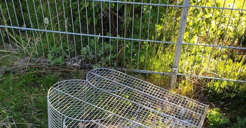 Netko je ispred skloništa ostavio kavez za ptice, njegov sadržaj je šokirao volontere