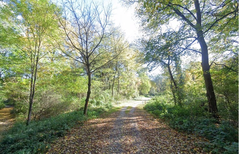 Počeli radovi na obnovi Dravske park-šume, koštat će više od 5 milijuna eura