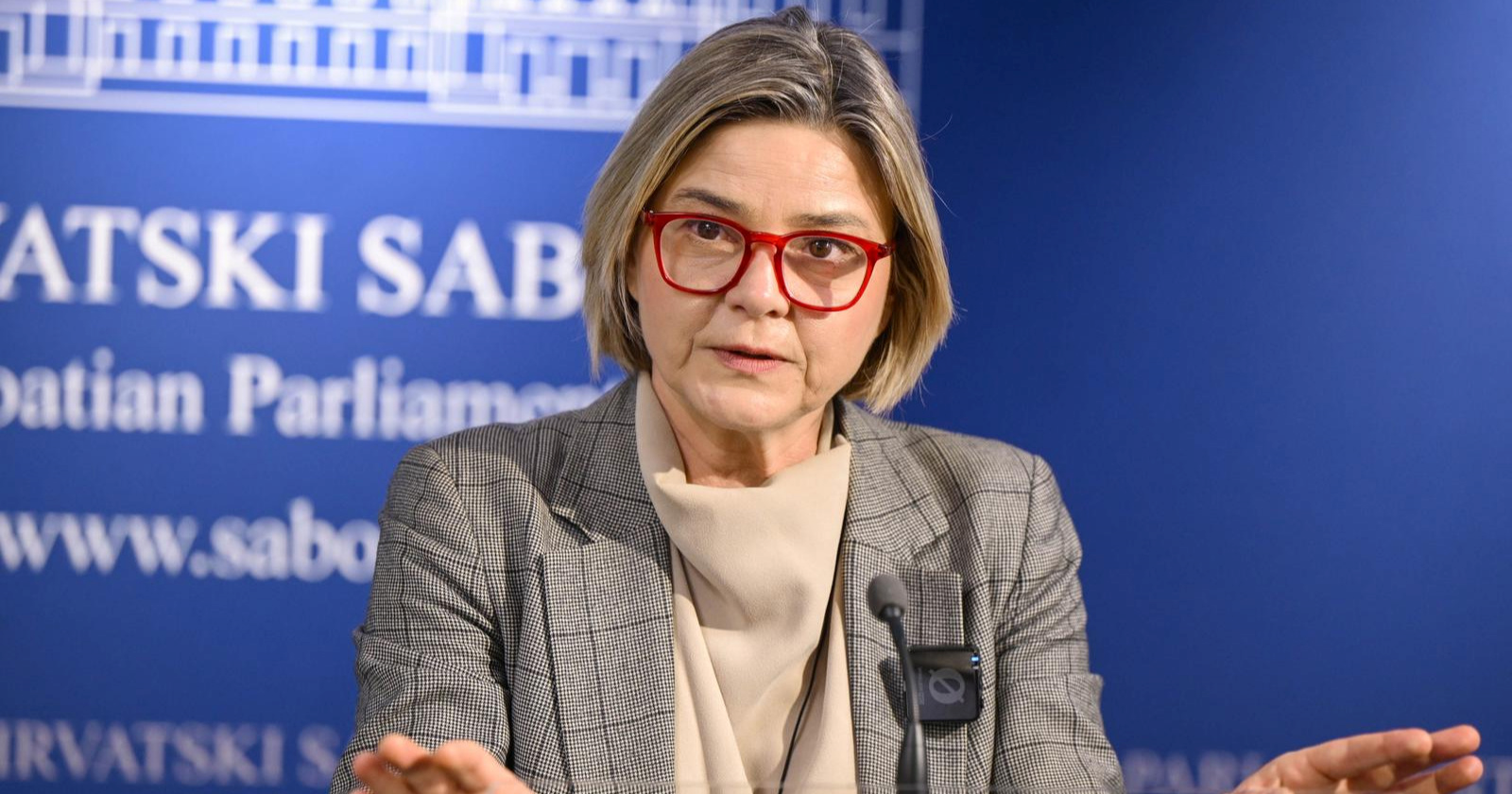 Benčić: Apsolutno sramotna situacija. Petrov: Ideje su vam nakaradne, ali slažem se