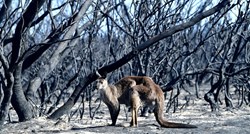 Gori li Australija zbog piromana ili klimatskih promjena?