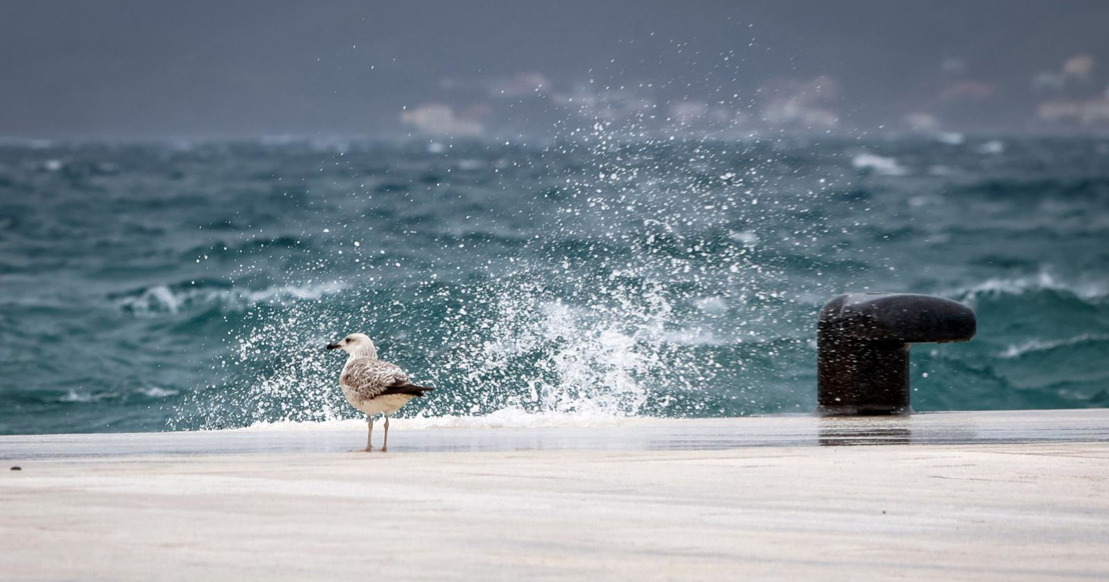 FOTO Najljepši zimski prizori: Jugo u Zadru uzburkalo more