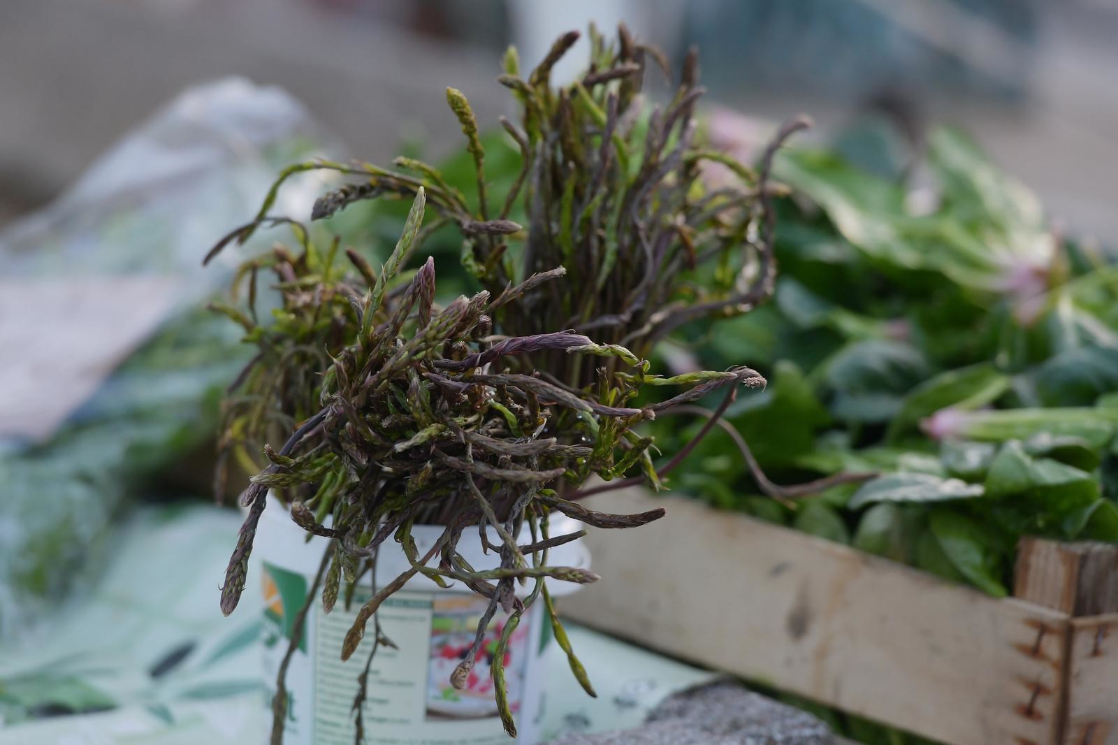 Na šibenskoj tržnici već se pojavile prve šparoge