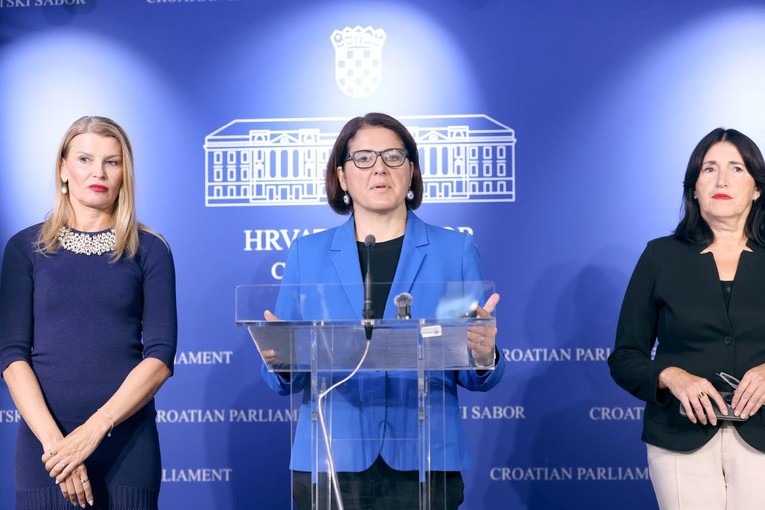 SDP-ovka o zaštiti žena: Ono što piše u zakonu nije isto kao stanje na terenu